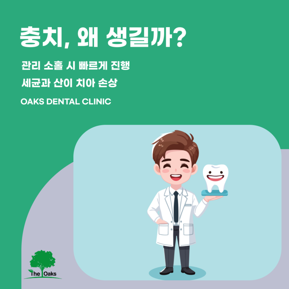 강남구치과 앞니충치 눈에 잘 띄는 부위이기에 더 신중해야 합니다 관련 이미지 2
