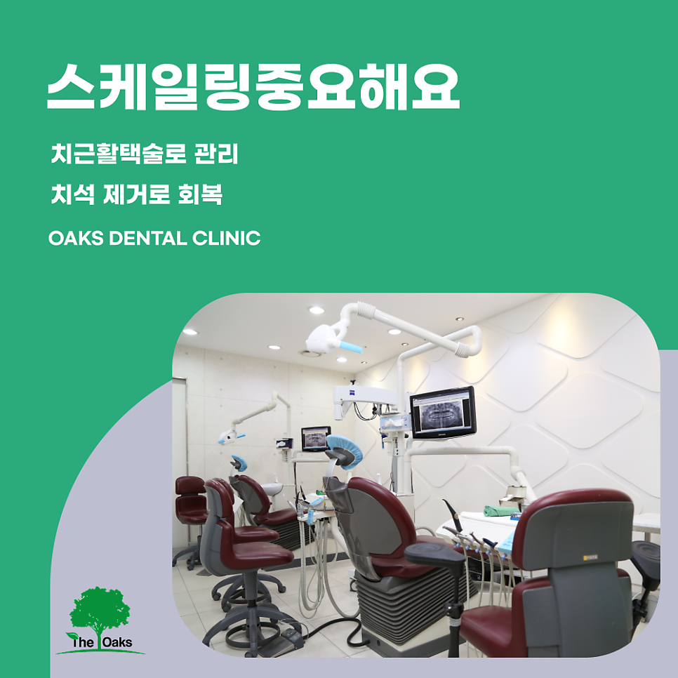 강남치과 잇몸염증치료 방치 말고 지금 바로 관리하세요 관련 이미지 2