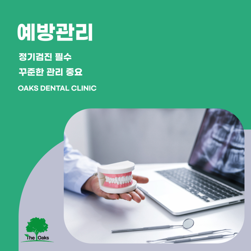 자곡동치과 치통 원인부터 해결까지 통증을 가볍게 넘기면 안 되는 이유 관련 이미지 5