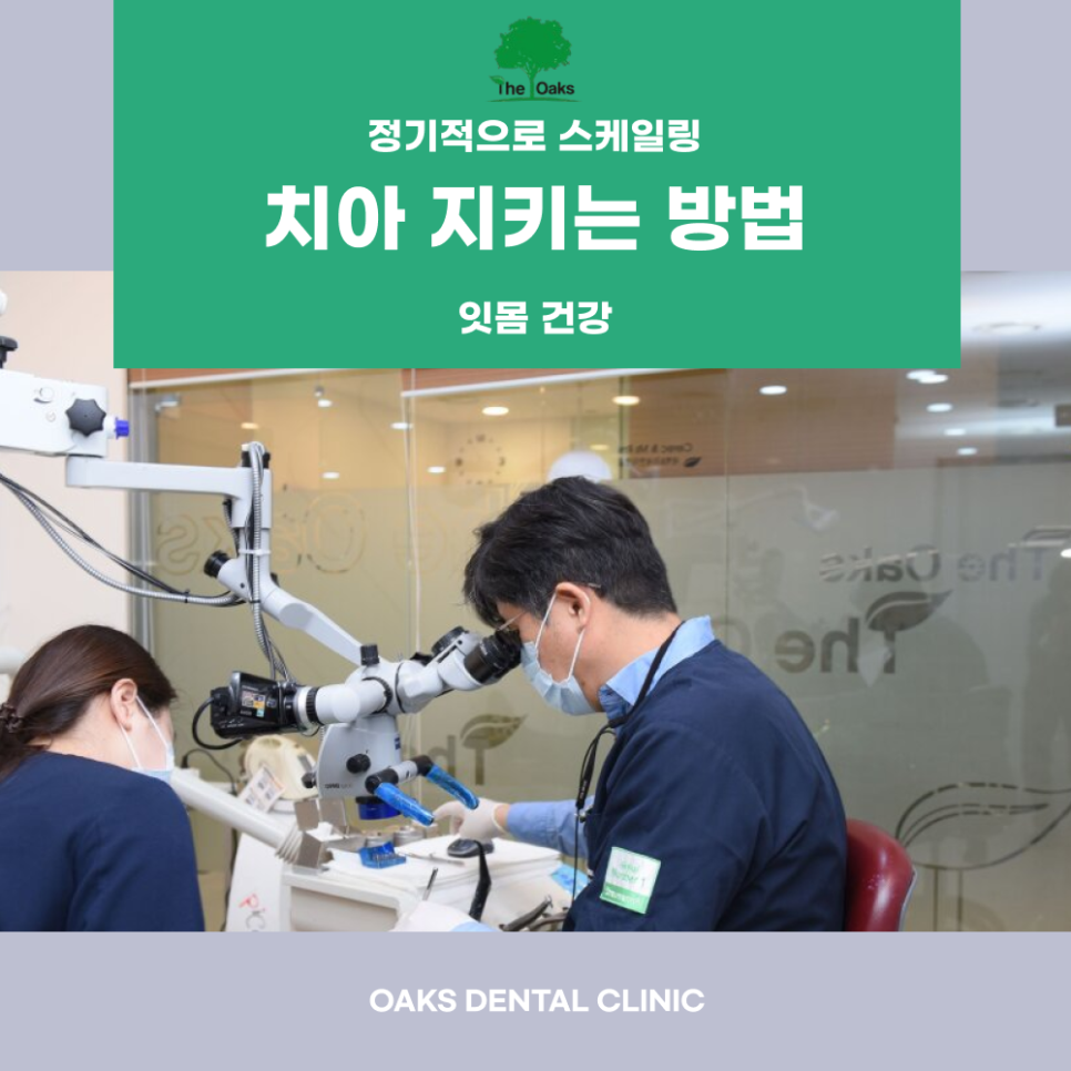 역삼동치과 치주질환 예방법 알아보자 관련 이미지 5