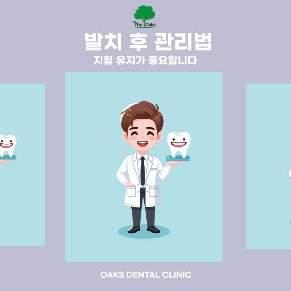 도곡동치과 어금니발치 꼭해야할까 관련 이미지 3