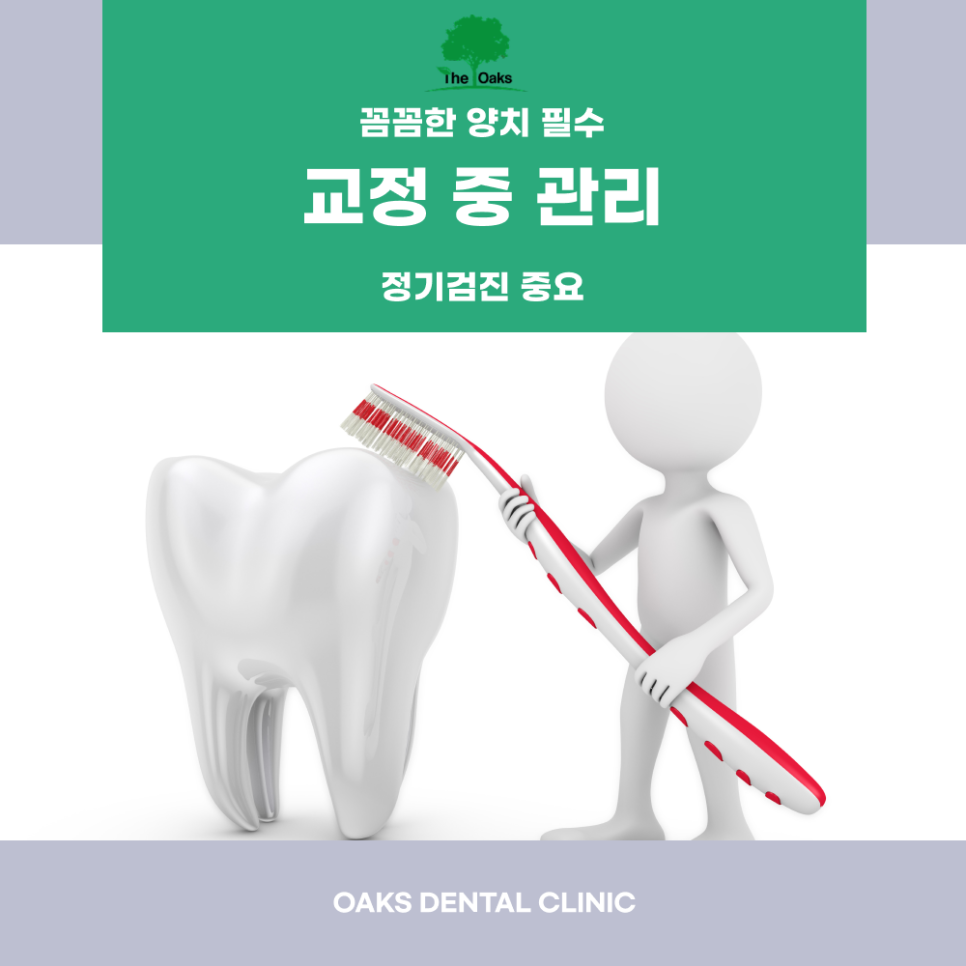 강남역치과 치아교정 가지런한 치아를 넘어 건강한 미소를 위한 선택 관련 이미지 4