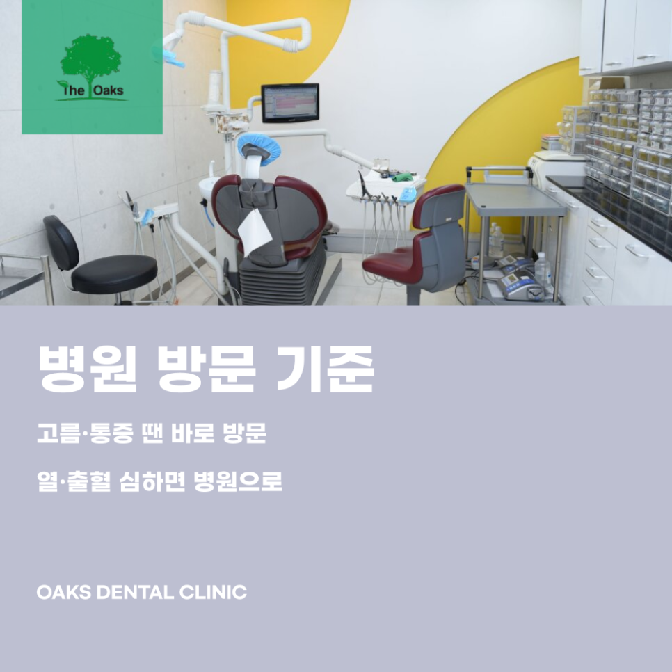 도곡동치과 사랑니 발치비용 왜 다를까 관련 이미지 5