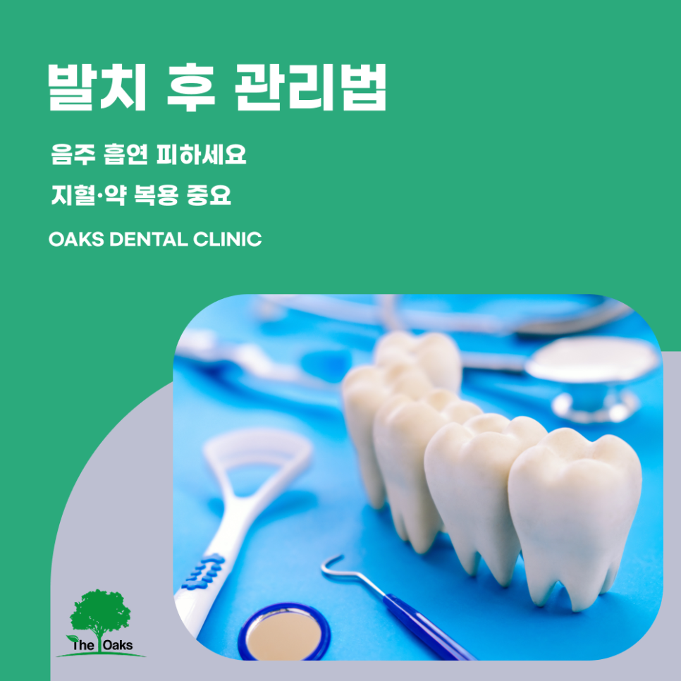 자곡동치과 사랑니발치비용 어떤 기준으로 달라질까 관련 이미지 5