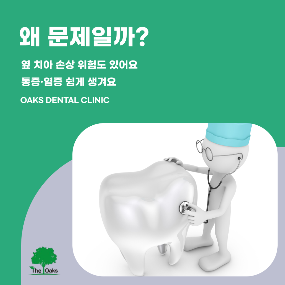강남구치과 매복사랑니 꼭 빼야 할까요 관련 이미지 2