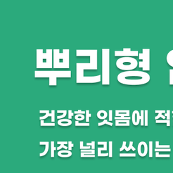 압구정동치과 임플란트종류 나에게 맞는 치료는 무엇일까 관련 이미지 8