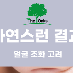 Cheongdam-dong Dental Clinic: Function and Aesthetics Should Be Considered Together in Esthetic Prosthodontics image 9