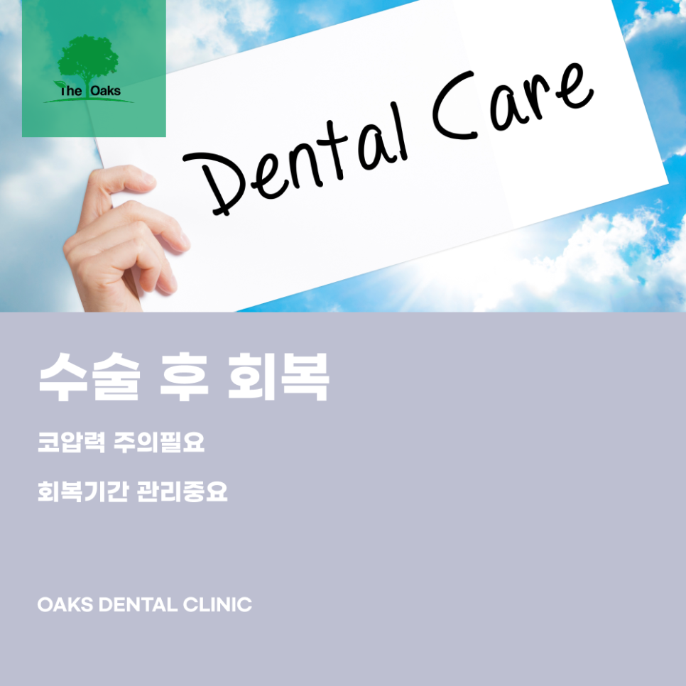 교대역치과 상악동거상술 위턱 뼈가 부족할 때 임플란트 성공률을 높이는 방법 관련 이미지 4