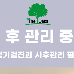 신사동치과 양심치과, 환자의 신뢰로 완성되는 진짜 진료 관련 이미지 9