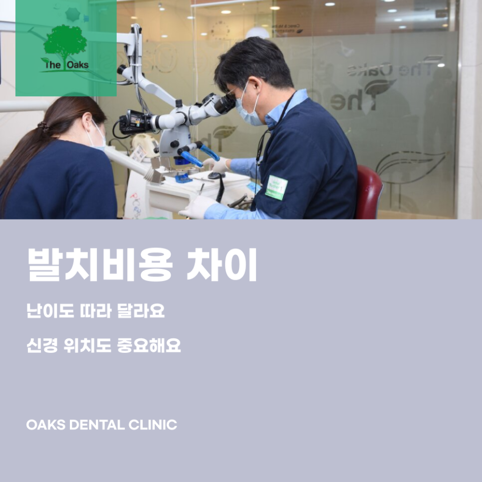 도곡동치과 사랑니 발치비용 왜 다를까 관련 이미지 1