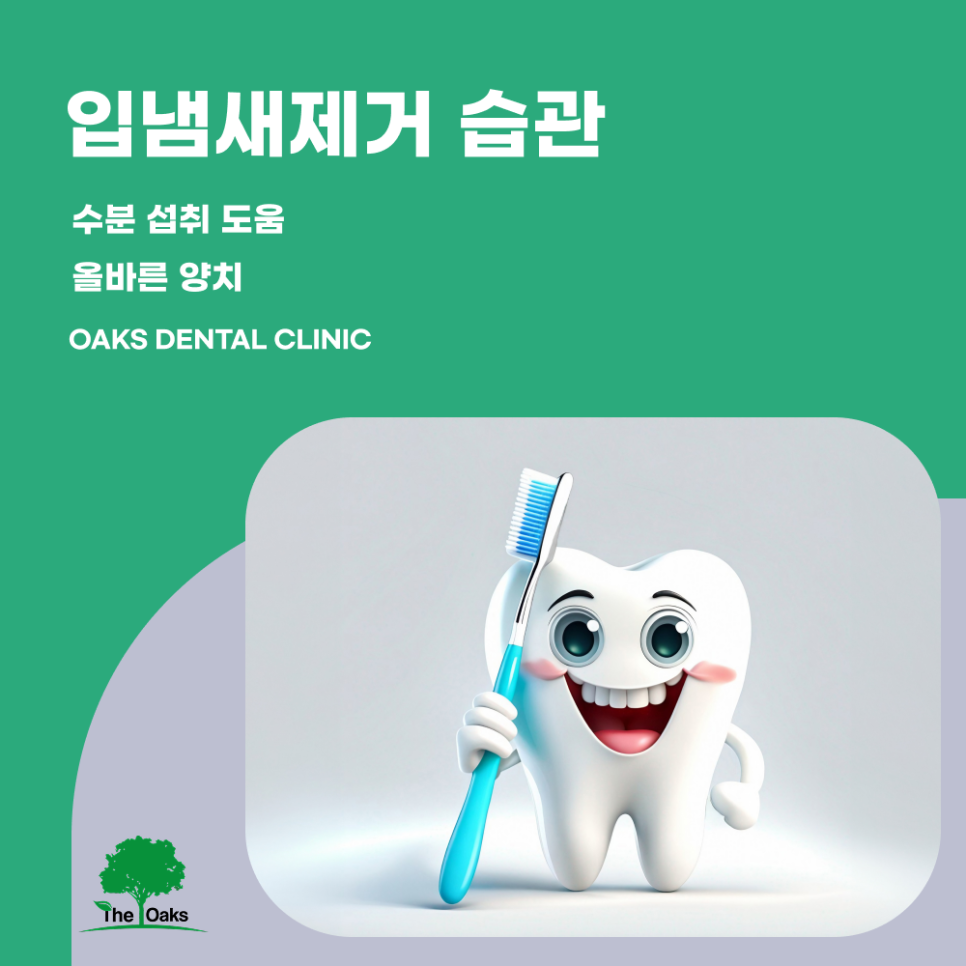 신사동치과 입냄새제거 구강 건강 관리가 먼저입니다 관련 이미지 3