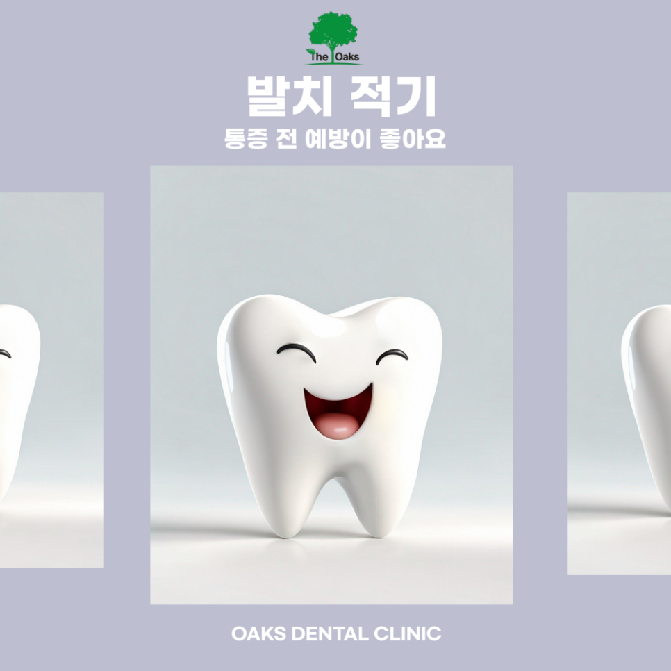 도곡동치과 사랑니 발치비용 왜 다를까 관련 이미지 3