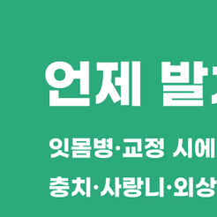 대치동치과 발치 언제 필요할까 관련 이미지 8