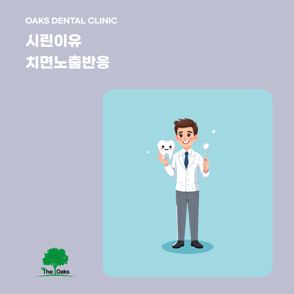 서초역치과 치석제거 왜 정기적인 스케일링이 치아를 지키는 첫걸음일까요 관련 이미지 4