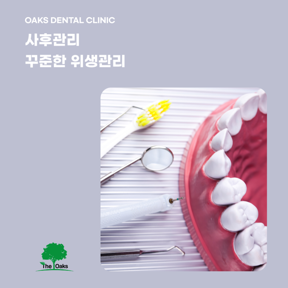 개포동치과 앞니크라운 자연스러운 미소를 되찾는 방법 관련 이미지 4