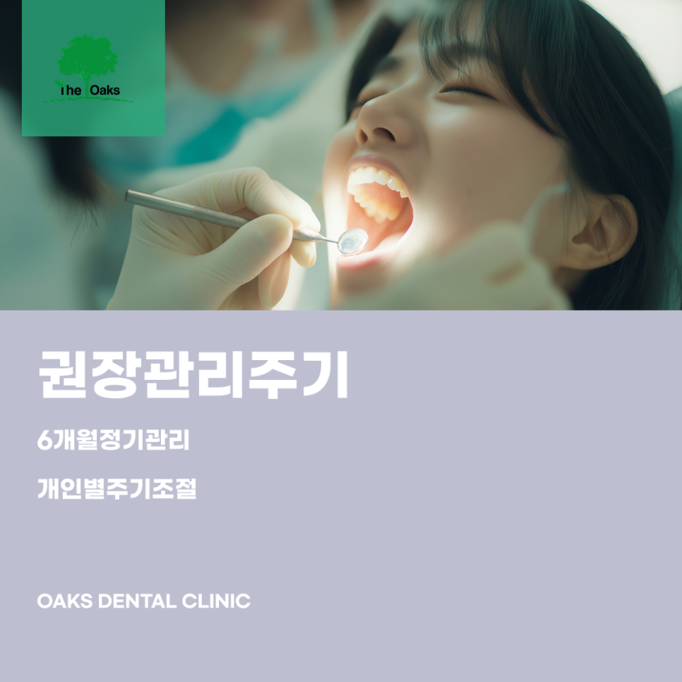 서초역치과 치석제거 왜 정기적인 스케일링이 치아를 지키는 첫걸음일까요 관련 이미지 5