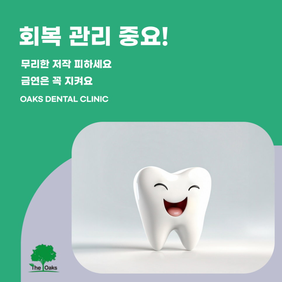 삼성동치과 임플란트뼈이식 꼭 필요한 이유 관련 이미지 5