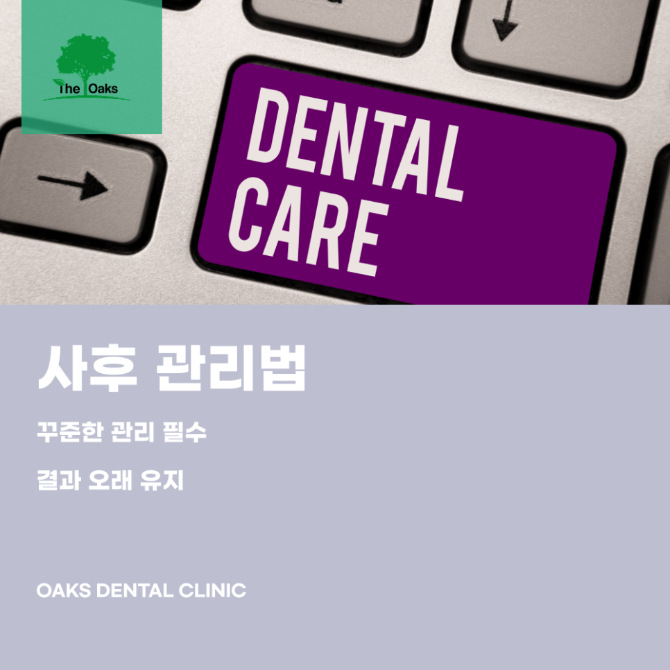 Key Information to Know Before Undergoing Cosmetic Dental Treatment at a Seocho Station Dental Clinic image 5