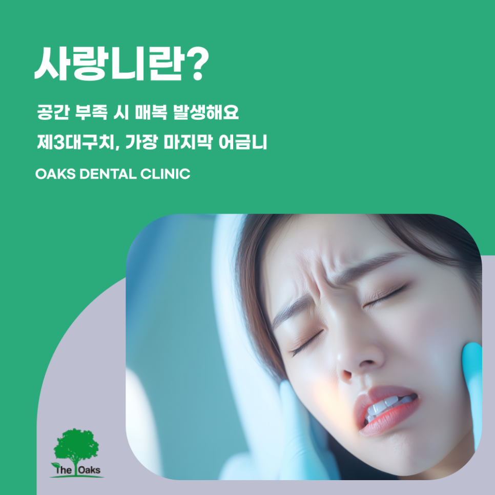 강남구치과 매복사랑니 꼭 빼야 할까요 관련 이미지 1