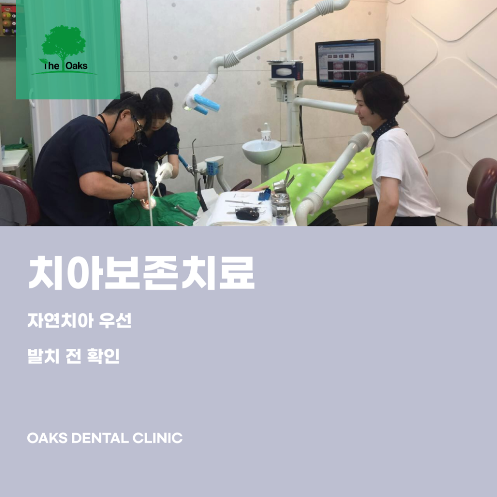 논현동치과 치아보존치료 발치보다 먼저 고려해야 하는 이유 관련 이미지 1