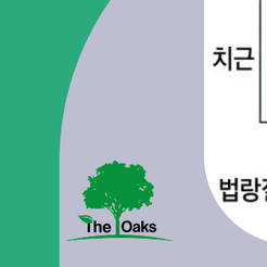 청담동치과 매복사랑니는 왜 발치할까요? 관련 이미지 14