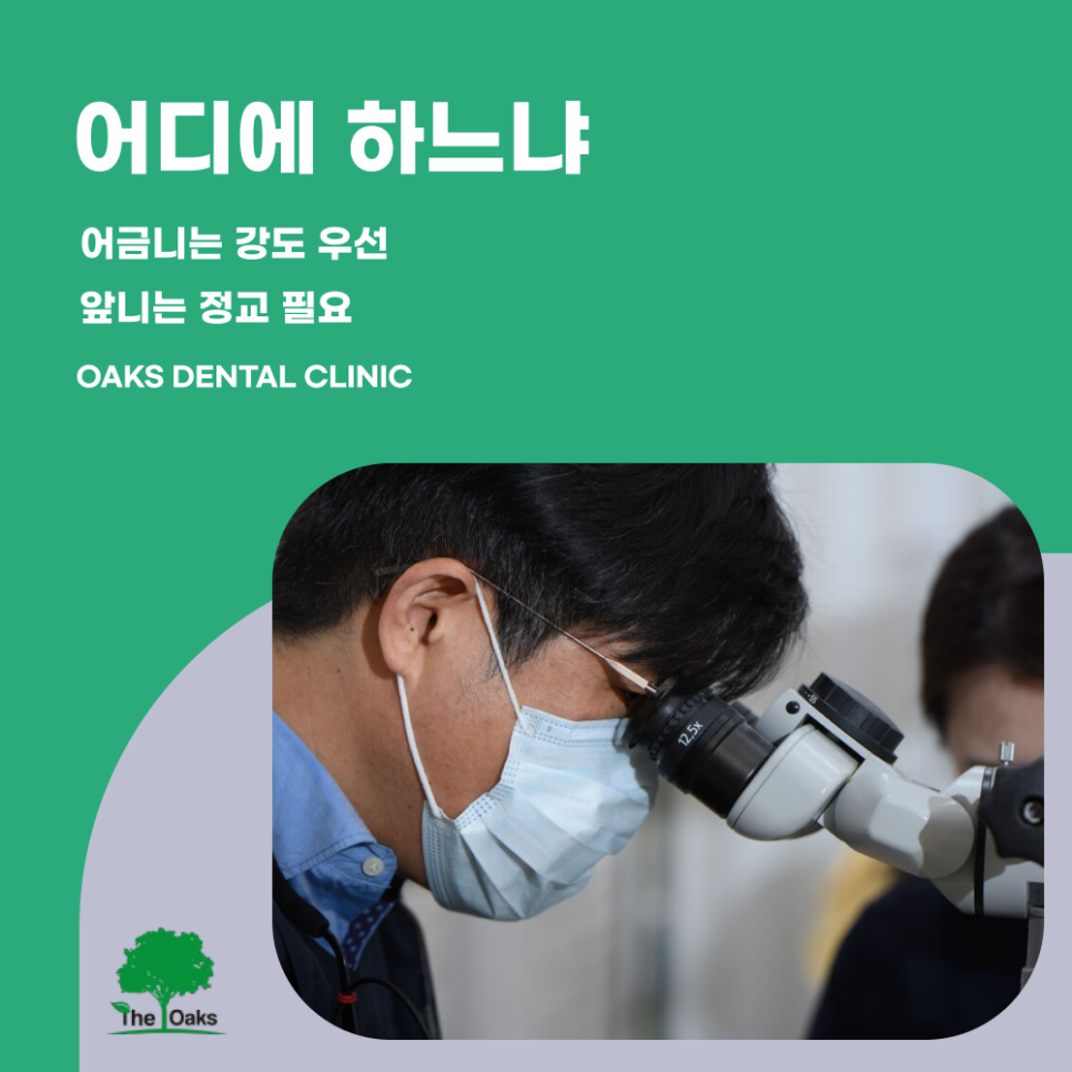 신사동치과 치과레진가격 왜 차이나는걸까 관련 이미지 3