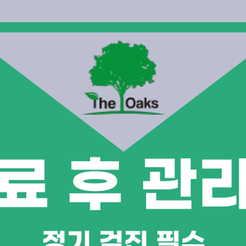 자곡동치과 앞니크라운 치료가 필요할 때는 언제일까 관련 이미지 9