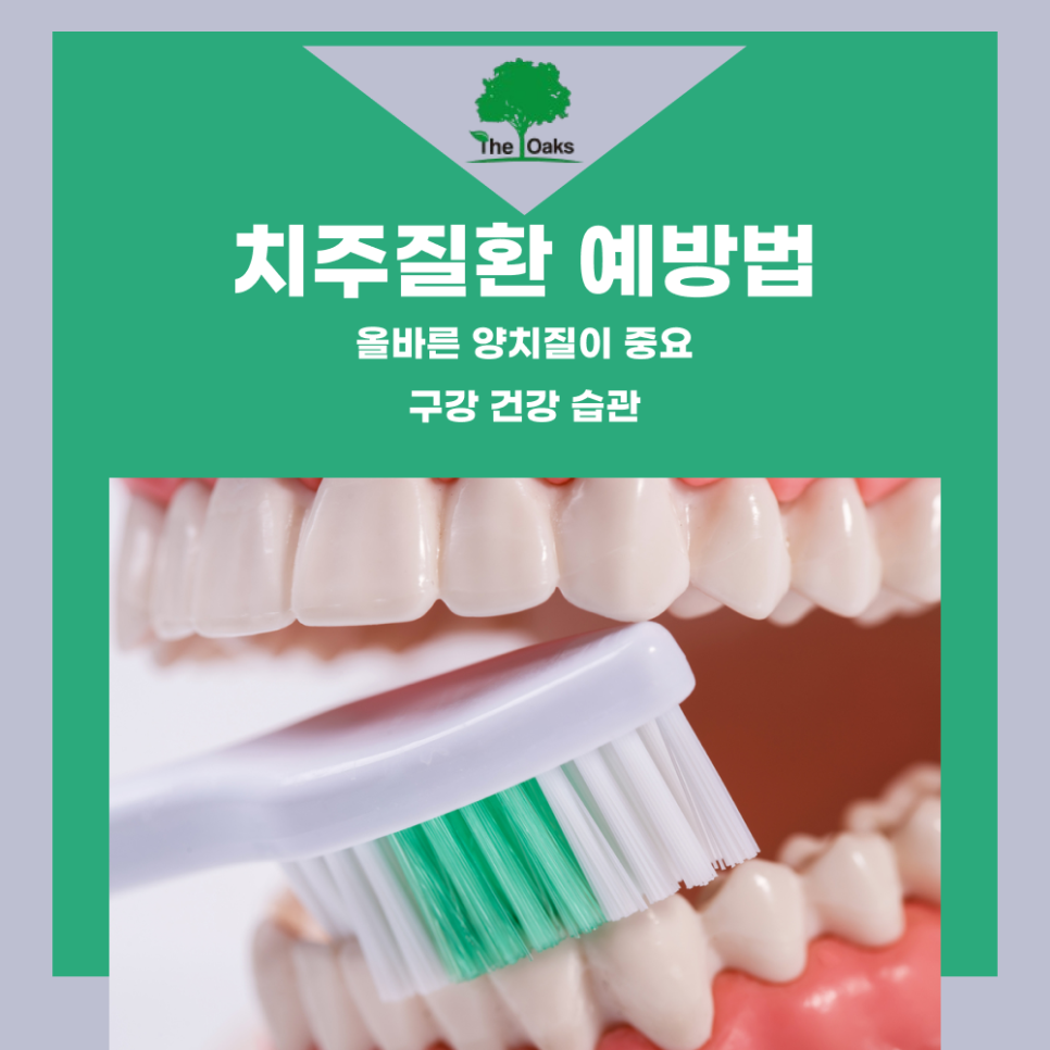 역삼동치과 치주질환 예방법 알아보자 관련 이미지 1