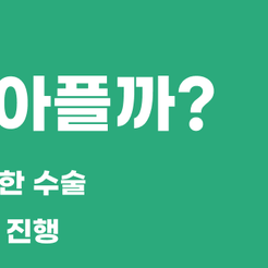 신사동치과 임플란트식립 어떤 과정을 거치나요 관련 이미지 9