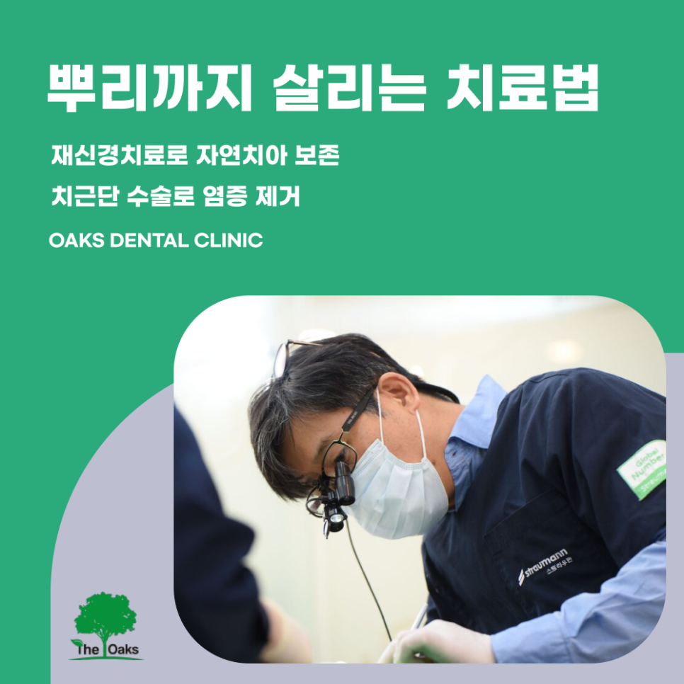 강남구치과 자연치아살리기 중요성에 대해 알아보아요 관련 이미지 2