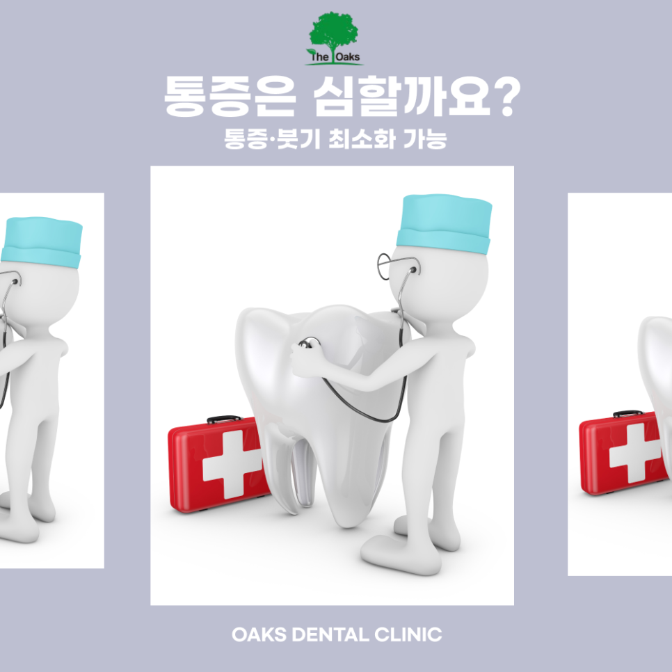 역삼동치과 상악동거상술 걱정보다 준비가 중요해요 관련 이미지 4