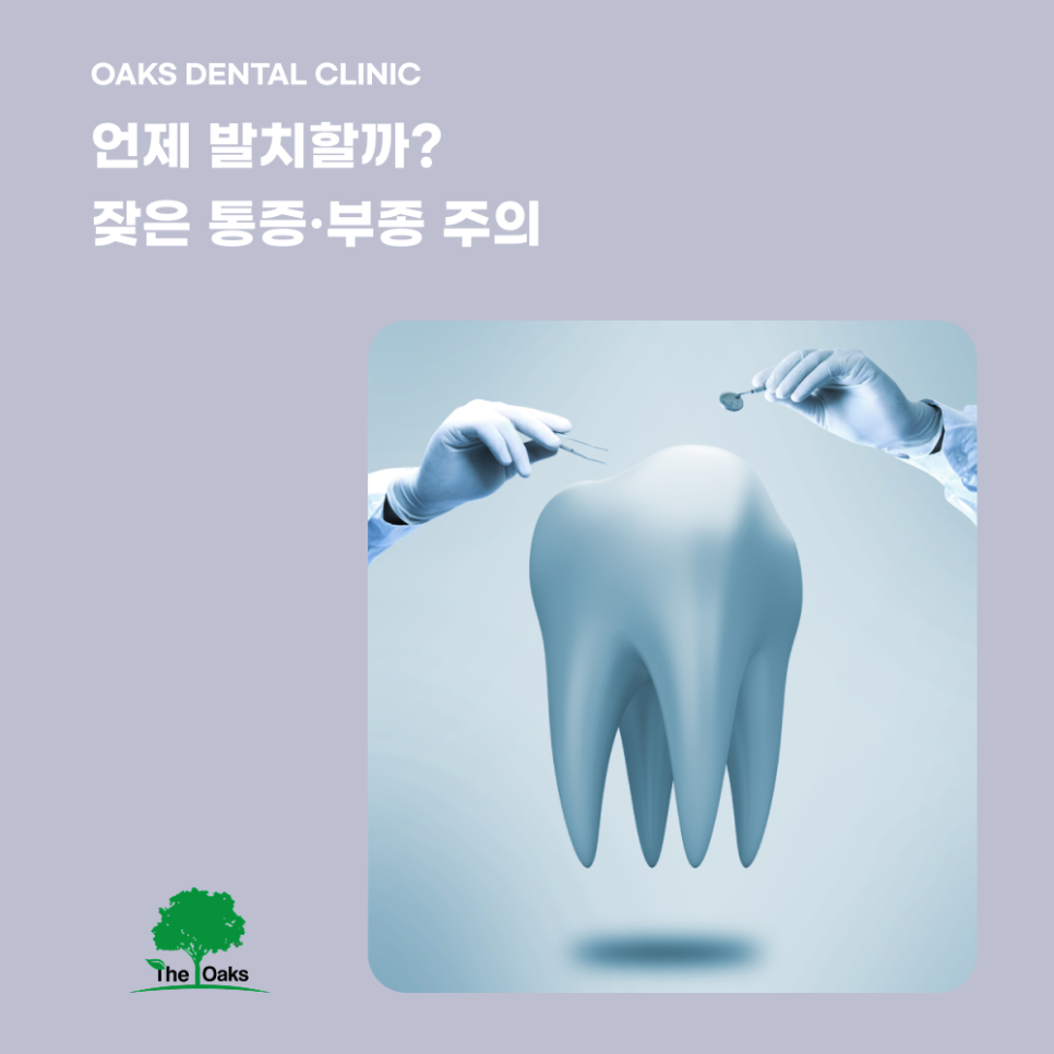 청담동치과 매복사랑니발치 후 회복 꿀팁 관련 이미지 2