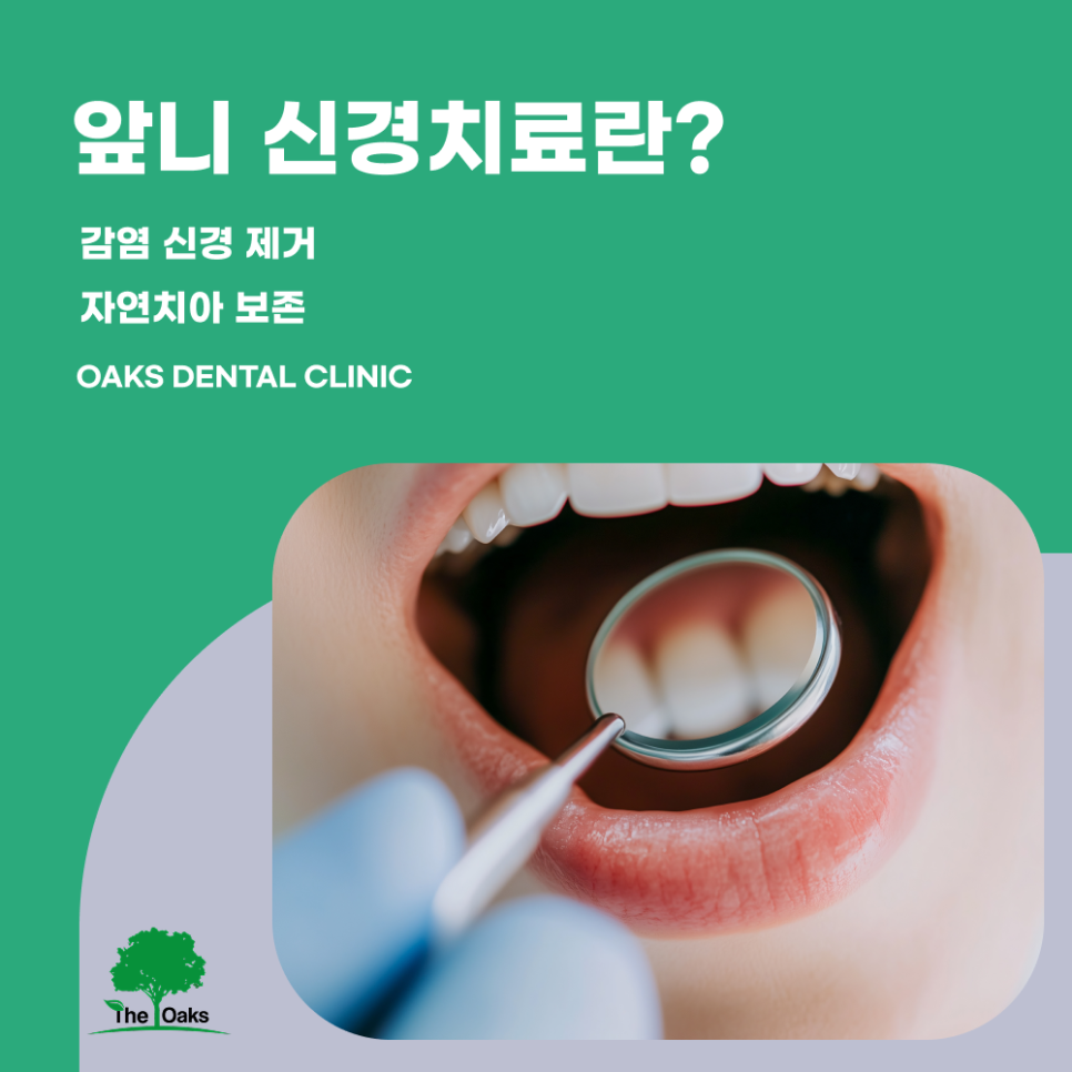 Why You Should Not Delay Root Canal Treatment for Front Teeth and the Treatment Process | Yeoksam-dong Dental Clinic image 1