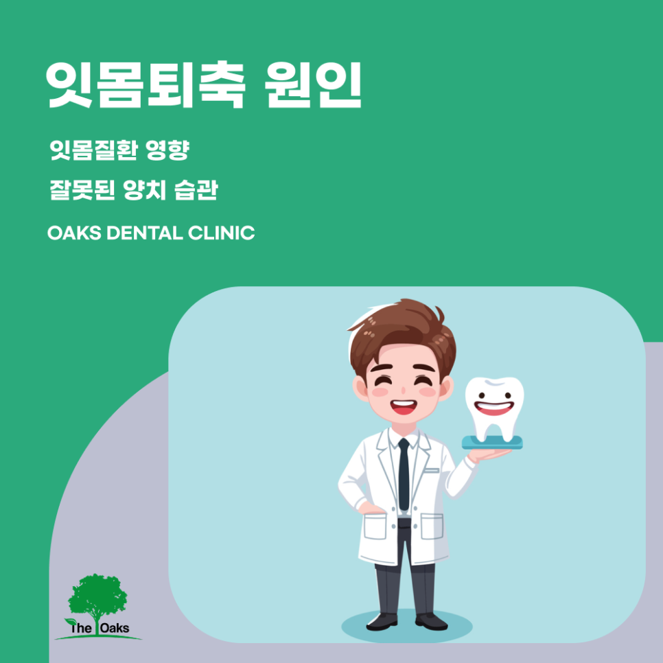 강남치과 잇몸퇴축 잇몸 건강이 보내는 경고 신호 관련 이미지 2