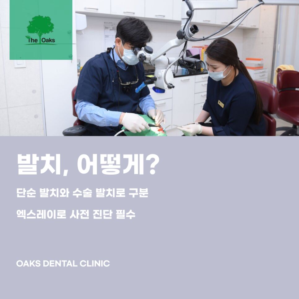 대치동치과 발치 언제 필요할까 관련 이미지 2