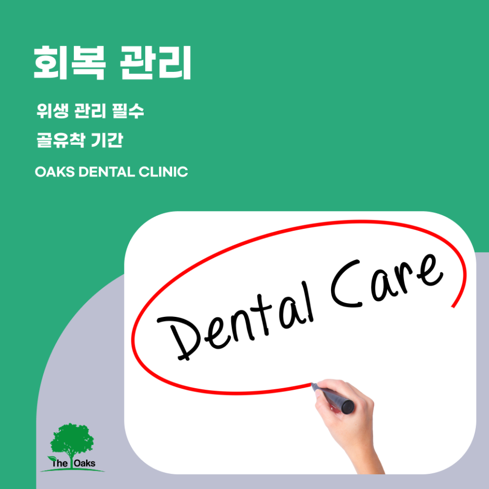 자곡동치과 임플란트과정 처음부터 마지막까지 꼼꼼하게 알아보자 관련 이미지 4