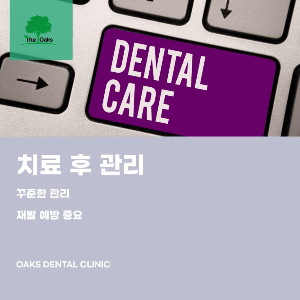 세곡동치과 치주염치료 잇몸 건강을 되찾는 과정 관련 이미지 4