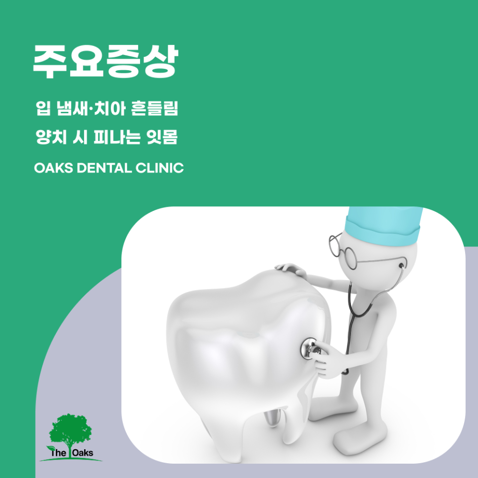 자곡동치과 치주염치료 잇몸 속 염증부터 잡아야 건강이 회복됩니다 관련 이미지 3