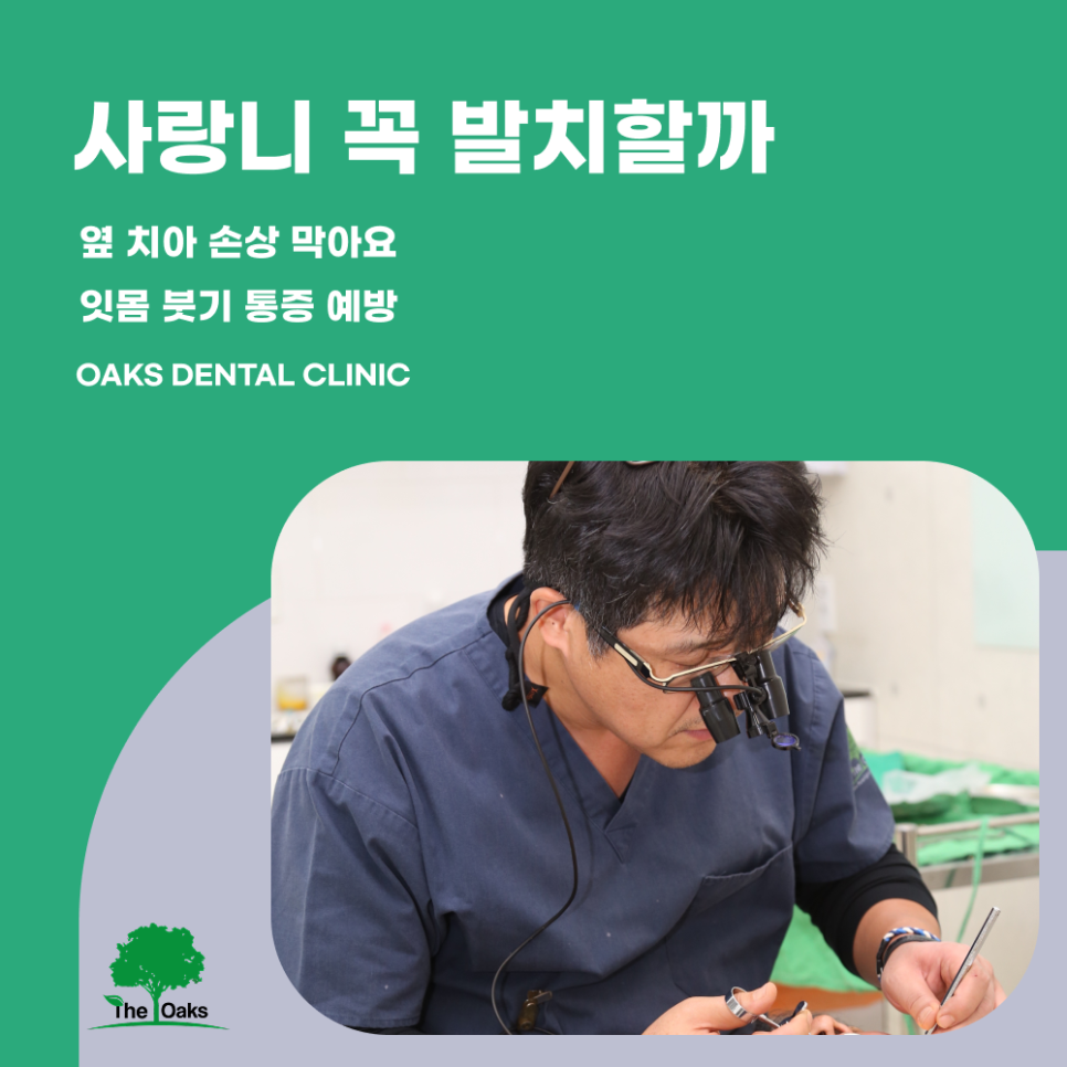 자곡동치과 사랑니발치비용 어떤 기준으로 달라질까 관련 이미지 1