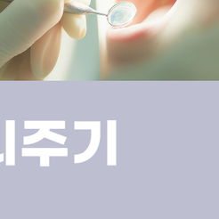 서초역치과 치석제거 왜 정기적인 스케일링이 치아를 지키는 첫걸음일까요 관련 이미지 12