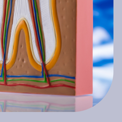 Samseong-dong Dental Clinic: Problems Caused by Ignoring Periodontitis and How to Manage It image 16