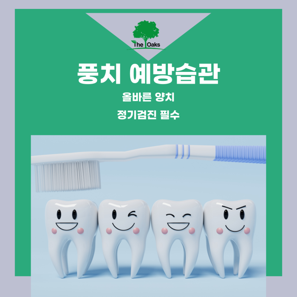 서초역치과 풍치치료 자연치아를 오래 지키기 위한 관리가 중요합니다 관련 이미지 5