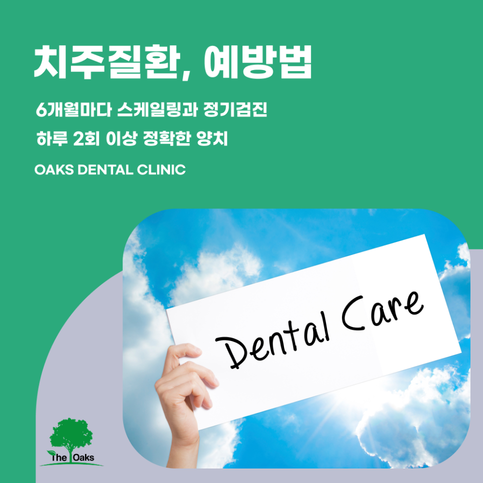 논현동치과 치주질환 잇몸에서 시작되는 위험 신호를 놓치지 마세요 관련 이미지 5