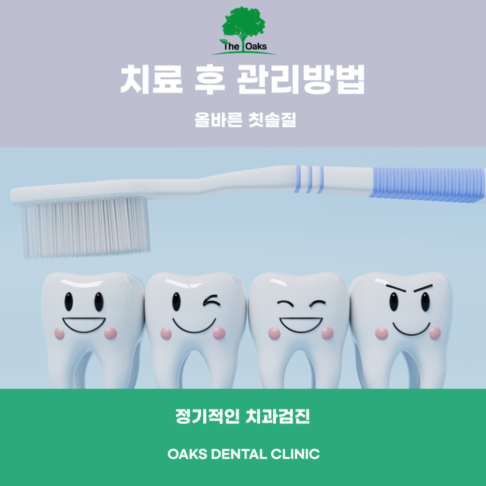 강남 원데이 심미치료 짧은 시간 안에 완성하는 심미 개선 관련 이미지 5