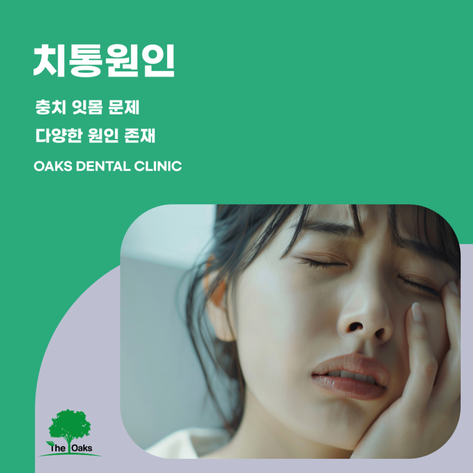 자곡동치과 치통 원인부터 해결까지 통증을 가볍게 넘기면 안 되는 이유 관련 이미지 1