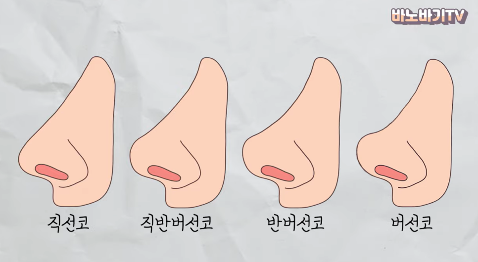 얼굴형에 따라 어울리는 코 라인은? 관련 이미지 2