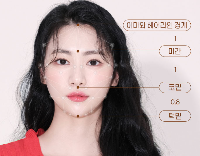 황금비율이란? 앞턱에 따라 달라지는 얼굴 비율 관련 이미지 2