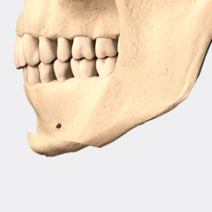 황금비율이란? 앞턱에 따라 달라지는 얼굴 비율 관련 이미지 8