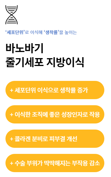 오래가는 아름다움, 줄기세포 지방이식 관련 이미지 3