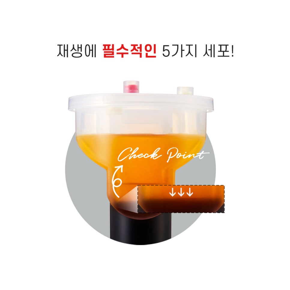 면역강화를 위한 프리미엄 웰에이징 프로그램! 줄기세포 인젝팅 샐테라피 관련 이미지 6